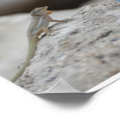 Sint Maarten-St. Martin Poster Print (Ecke)