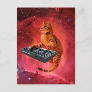Sinthesizer-Katze im roten Raum Postkarte