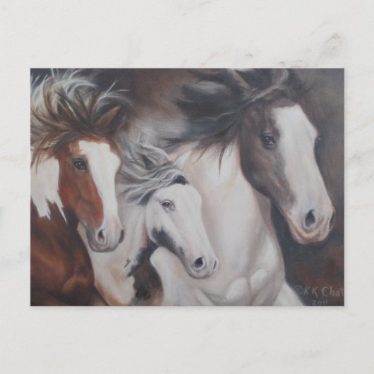 Sinti und Roma ausführen Postkarte (Vorderseite)