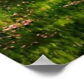 "Sinti und Roma Blossom" Poster (Ecke)