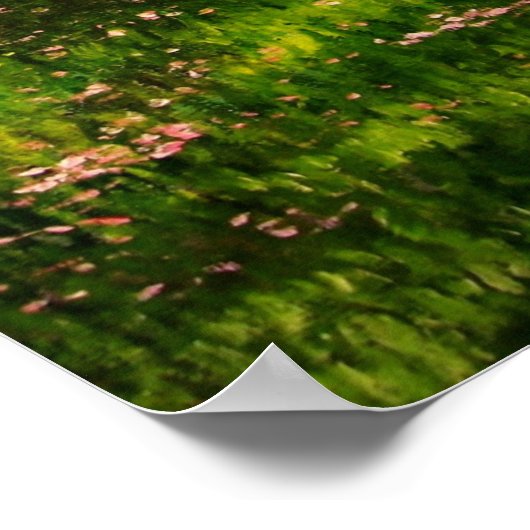 "Sinti und Roma Blossom" Poster (Ecke)