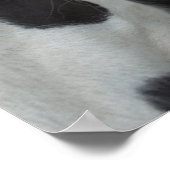 Sinti und Roma Boys Poster (Ecke)