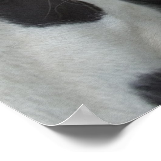 Sinti und Roma Boys Poster (Ecke)