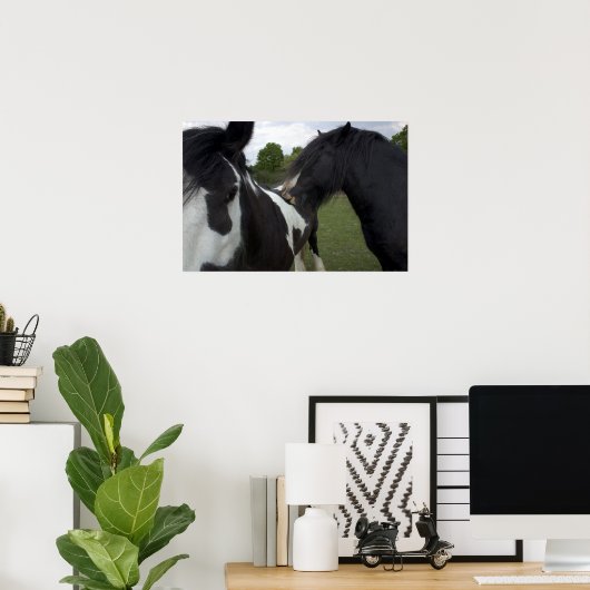 Sinti und Roma Boys Poster (Heimbüro)