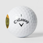 Sinti und Roma Caravan Golfball (Logo)