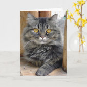 Sinti und Roma-Card Karte (Gelbe Blume)