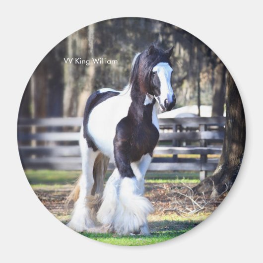 Sinti und Roma Gold King William Magnet (Vorne)