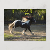 Sinti und Roma Gold-Provek-Postkarte