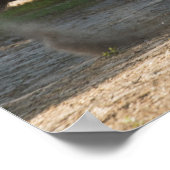 Sinti und Roma Gold Sinti und Roma Vanner Hengstpo Poster (Ecke)