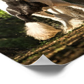 Sinti und Roma Gold Sinti und Roma Vanner King Wil Poster (Ecke)