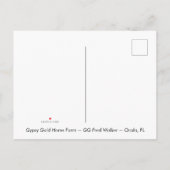 Sinti und Roma Gold Sinti und Roma Vanner mare Pos Einladungspostkarte (Rückseite)