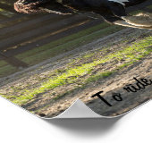 Sinti und Roma Gold Sinti und Roma Vanner Poster (Ecke)