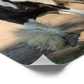 Sinti und Roma Gold Sinti und Roma Vanner Treasure Poster (Ecke)