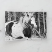 Sinti und Roma im Wald - Begrüßungskarte für das P Karte (Innenseite)