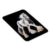 Sinti und Roma Mare Stallion Magnet (Rechte Seite)