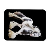 Sinti und Roma Mare Stallion Magnet (Horizontal)