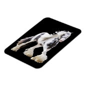 Sinti und Roma Mare Stallion Magnet (Linke Seite)