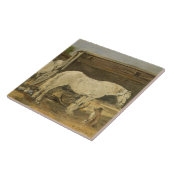 Sinti und Roma-Pferde, c.1885-90 (Öl auf Leinwand) Fliese (Seite)