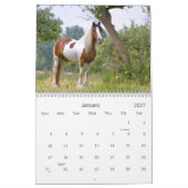 Sinti und Roma-Pferde in Deutschland 2016 Kalender (Jan 2027)