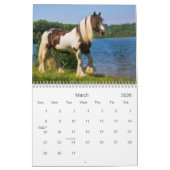 Sinti und Roma-Pferde in Deutschland 2016 Kalender (Mär 2026)