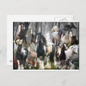 Sinti und Roma Pferdegeschenke Postkarte (Vorne/Hinten)