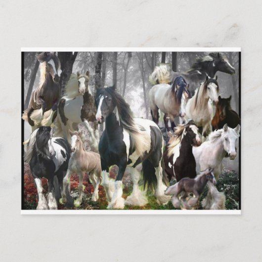 Sinti und Roma Pferdegeschenke Postkarte (Vorderseite)