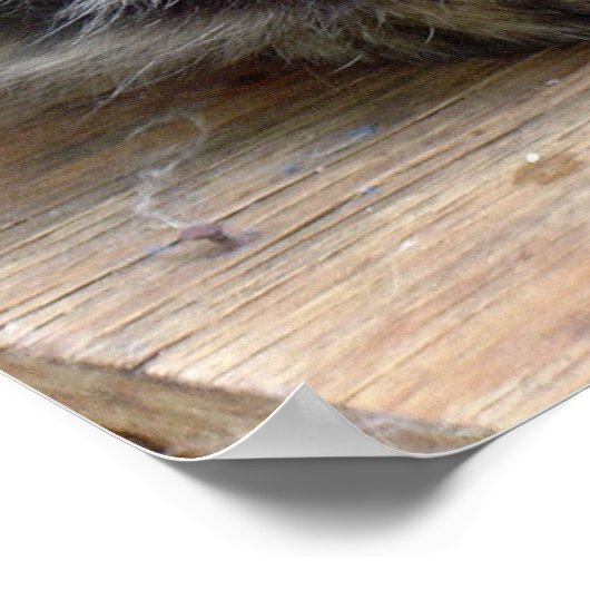 Sinti und Roma Poster (Ecke)