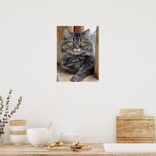 Sinti und Roma Poster (Küche)