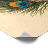 Sinti und Roma Poster (Ecke)