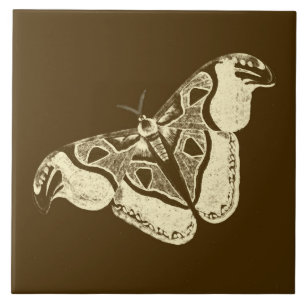 Sinti und Roma, schokoladenbraun und beige Fliese