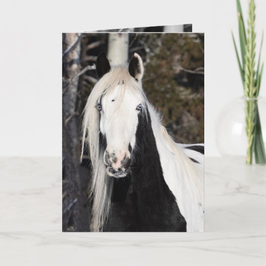 Sinti und Roma sieht aus - Grußkarte Karte (Vorderseite)