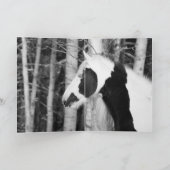 Sinti und Roma sieht aus - Grußkarte Karte (Innenseite)