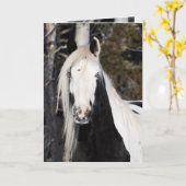 Sinti und Roma sieht aus - Grußkarte Karte (Gelbe Blume)