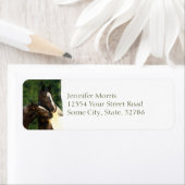 Sinti und Roma Vanner (Insitu)