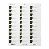 Sinti und Roma Vanner (Vorne)