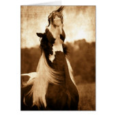 Sinti und Roma Vanner (Vorne)