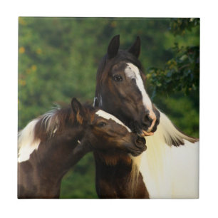 Sinti und Roma Vanner Fliese