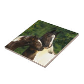 Sinti und Roma Vanner Fliese (Seite)