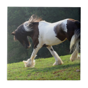 Sinti und Roma Vanner Fliese