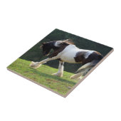 Sinti und Roma Vanner Fliese (Seite)