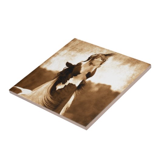 Sinti und Roma Vanner Fliese (Seite)