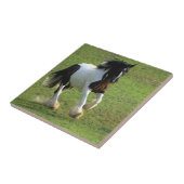 Sinti und Roma Vanner Fliese (Seite)