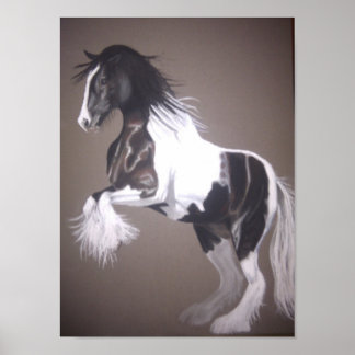 Sinti und Roma Vanner-Hengst, einheimischer Cob Poster
