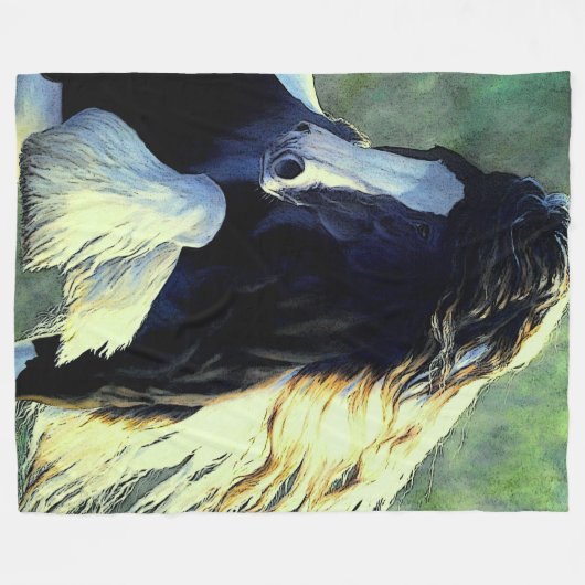 Sinti und Roma Vanner Hengst/Pferd, Schwarzweiß-Pi Fleecedecke (Vorderseite (Horizontal))