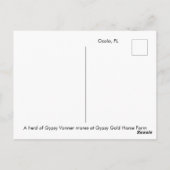 Sinti und Roma Vanner Herde Postkarte (Rückseite)