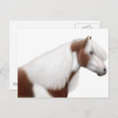 Sinti und Roma Vanner Horse Postcard Postkarte (Vorne/Hinten)