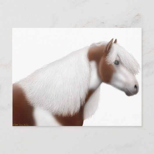 Sinti und Roma Vanner Horse Postcard Postkarte (Vorderseite)
