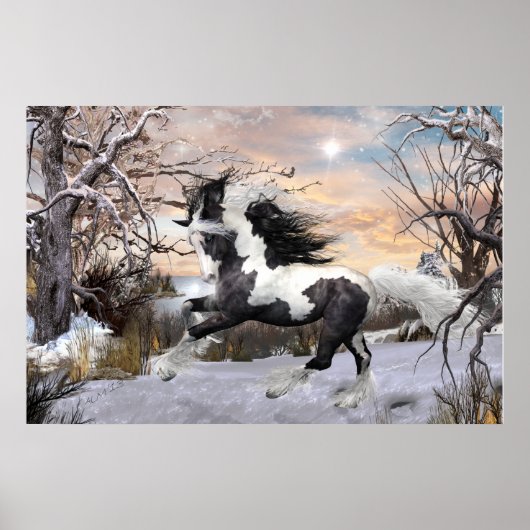 Sinti und Roma Vanner Horse Poster (Vorne)
