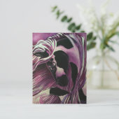 SINTI UND ROMA VANNER HORSE POSTKARTE (Stehend Vorderseite)