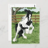Sinti und Roma Vanner im Spiel Reitkunst Postkarte (Vorne/Hinten)